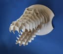 Archivo Vectorial de Cabeza de Cocodrilo 3D para Corte Láser