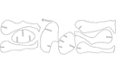Archivo Vectorial DXF de Jirafa 3D para Corte Láser