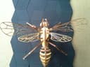 3D Laser Cut Bee Puzzle - 3mm Wood Vector File (DXF, SVG)
