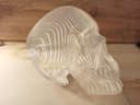 3D Layered Skull Model for Laser Cutting - Free Vector File