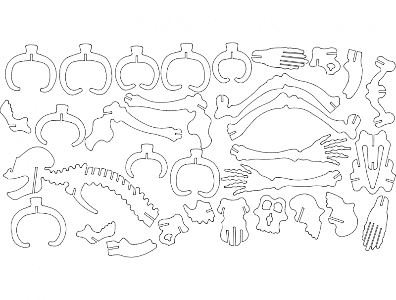 3D Monkey Skeleton Puzzle Vector File for Laser Cutting DXF