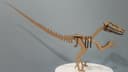 Plano 3D Esqueleto de Dinosaurio Raptor para Corte Láser DXF