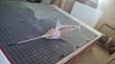 3D Swordfish Laser Cut Project Vector File