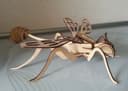 3D Wasp Puzzle Laser Cut Template Free Vector File