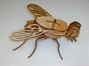 Plantilla Vectorial de Rompecabezas 3D de Mosca en Madera