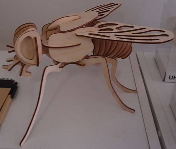 3D Wooden Housefly Puzzle Laser Cut Vector Template