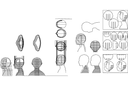 Abstract Human Head 3D Puzzle Vector File for CNC Laser Cut