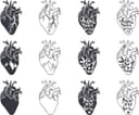 Colección de Vectores de Corazón Anatómico SVG DXF para Corte Láser