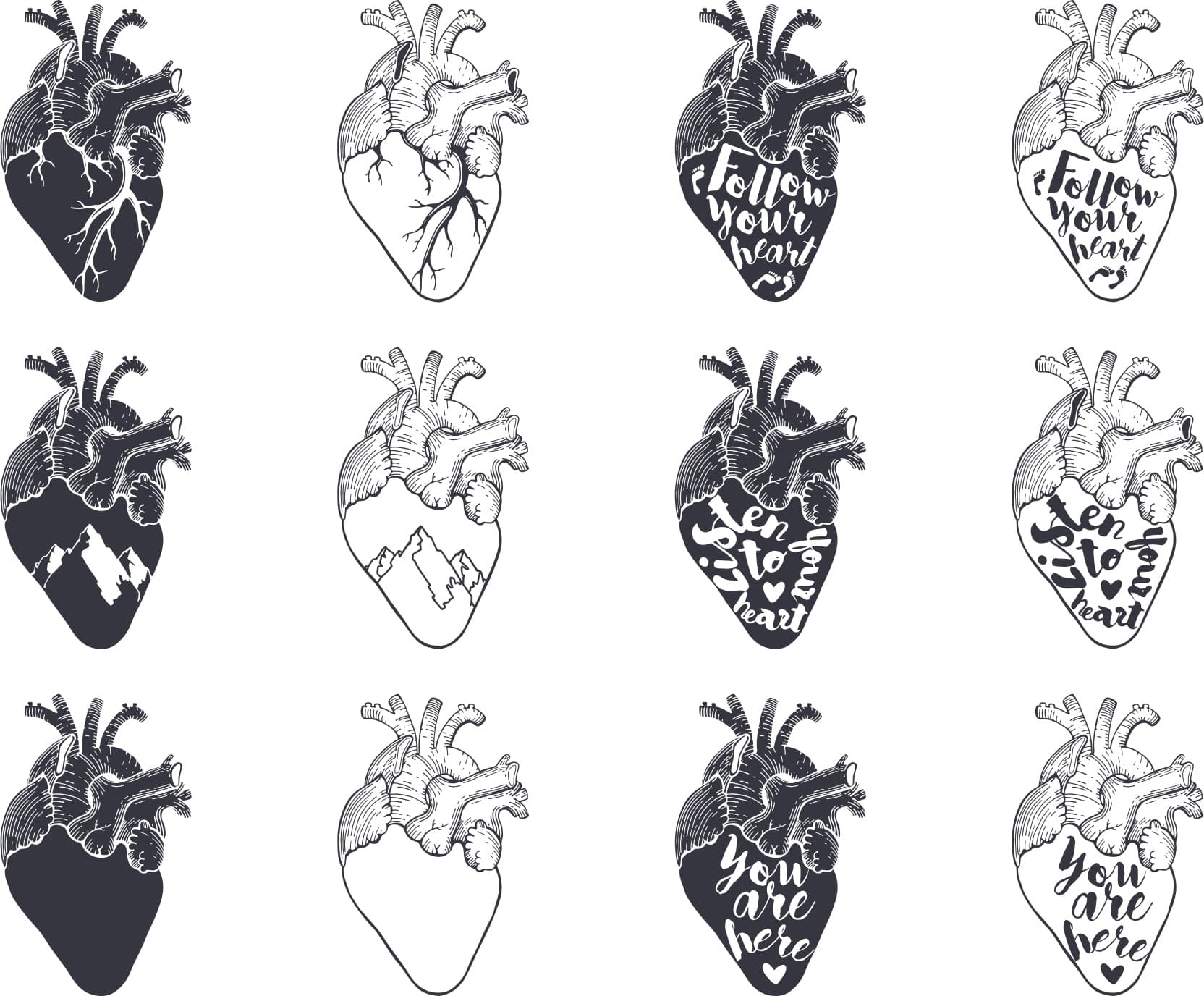 Anatomical Heart Vector Collection SVG DXF for Laser Cutting
