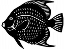 Silhueta de Peixe-Anjo para Corte a Laser DXF