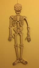 Articulated Skeleton Laser Cut Project - Free DXF Vector