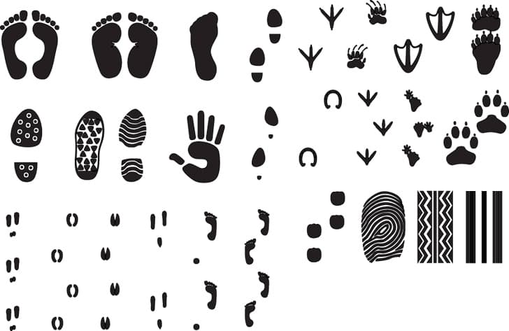 Assorted Footprints and Tracks Vector Collection for Laser Cutting
