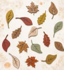 Autumn Leaf Set Laser Cut Vector Files SVG DXF