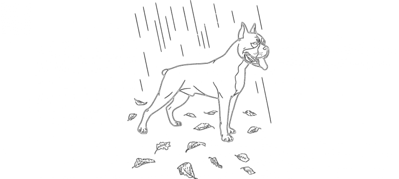 Boxer Dog in Rain Vector Art for CNC Laser Cutting (DXF)