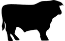 Bull Silhouette Vector File for CNC Laser Cutting