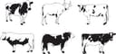 Conjunto de Vectores de Siluetas de Vacas y Ganado para Corte Láser
