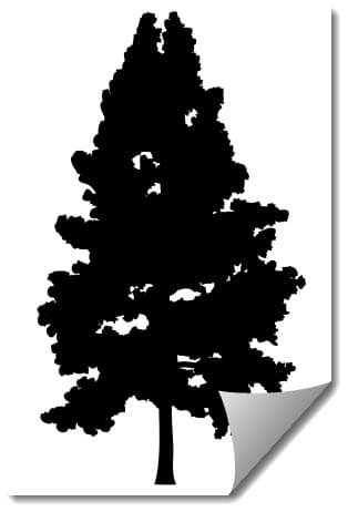 Classic Coniferous Pine Tree Silhouette Vector DXF File