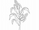 Vector de Silueta de Maíz para Corte Láser y CNC DXF