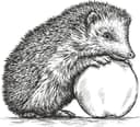 Vector de Erizo Lindo con Manzana para Corte Láser