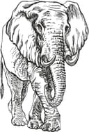 Vector de Arte Lineal de Elefante Africano Detallado