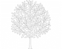 Diseño Vectorial de Silueta de Árbol Detallado Archivo DXF