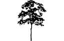Archivo Vectorial de Silueta de Árbol para Corte Láser