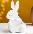 Easter Bunny Basket Laser Cut Design Vector File