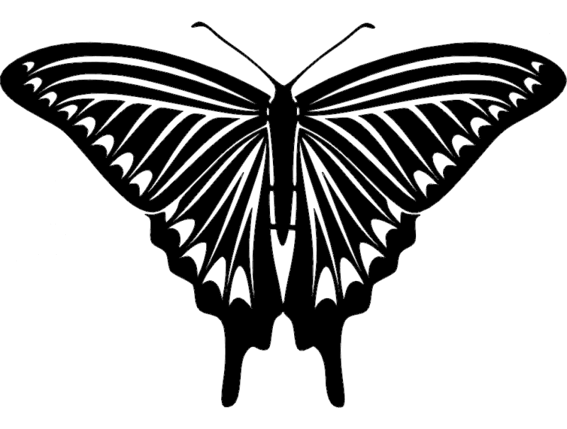 Elegant Butterfly Vector Art for Laser Cutting DXF File
