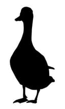 Elegant Duck Silhouette Vector File for Laser Cutting (DXF)