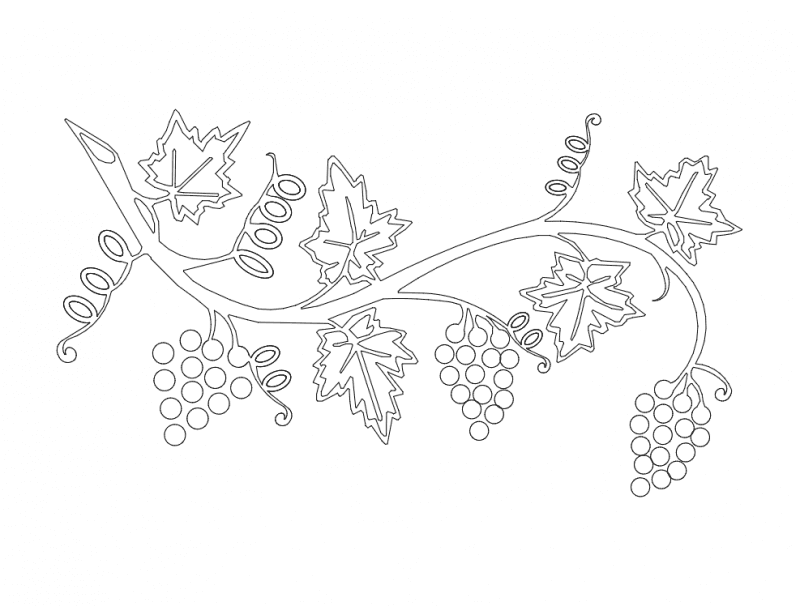 Elegant Grape Vine Vector Design for Laser Cutting DXF