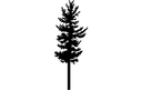 Evergreen Pine Tree Silhouette Vector Design DXF File