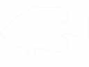 Fish Silhouette Dotted Outline Vector File for Laser Cutting