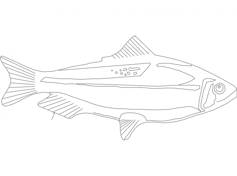 Fish Silhouette Vector Design for Laser Cutting DXF File