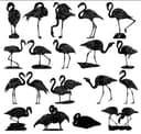 Colección de Siluetas de Flamenco Vectores para Corte Láser (DXF)
