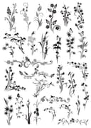 Floral Ornaments and Decorative Swirls Vector Pack