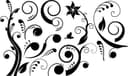 Floral Swirls and Flourish Elements Free Vector File