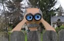 Funny Peekin' Pete Fence Peeker Laser Cut File Vector