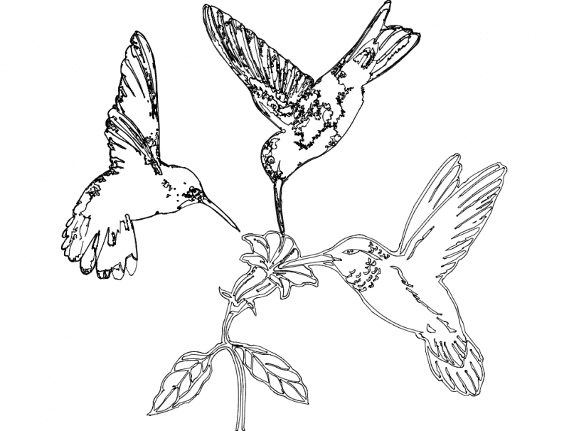 Hummingbirds and Flower Vector Design for Laser Cutting DXF