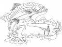 Vector DXF de Escena de Pesca con Trucha para Corte Láser