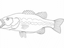 Diseño Vectorial de Pez Largemouth Bass para Corte Láser DXF