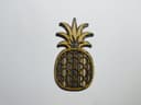 Archivo Vectorial de Piña en Capas para Corte Láser