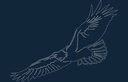 Archivo Vectorial DXF de Águila Majestuosa para Corte Láser