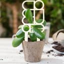 Enrejado Geométrico Moderno para Plantas - Archivo Vectorial