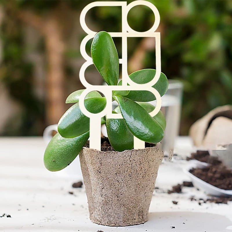 Modern Geometric Indoor Plant Trellis SVG Vector File