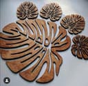 Conjunto de Porta-Copos Folha Monstera Arquivo Vetorial