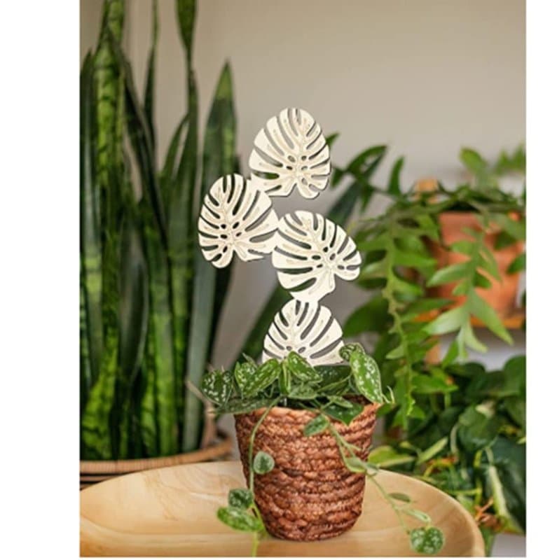 Monstera Leaf Plant Trellis Laser Cut Vector File