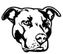 Pesel Animal Vector Design