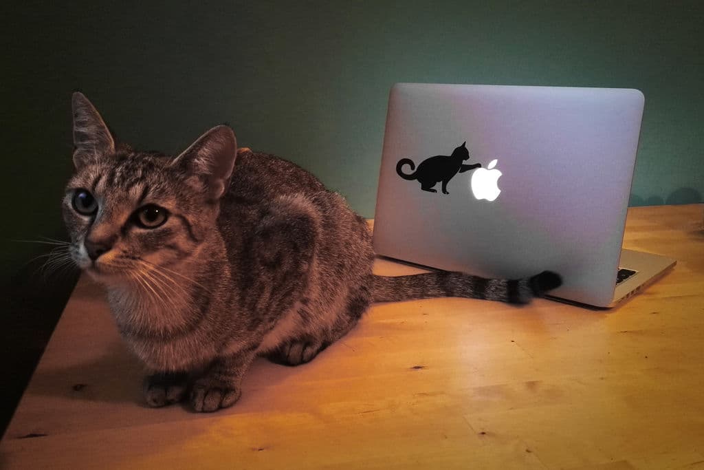 Playful Cat Laptop Decal Vector Design for Laser Cutting DXF