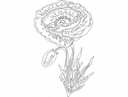 Diseño Vectorial de Flor de Amapola para Corte Láser DXF