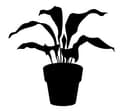 Archivo Vectorial DXF de Silueta de Planta en Maceta